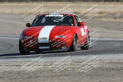 media/Oct-21-2023-Speed Ventures (Sat) [[ddf75163c5]]/Green/Grapvine/